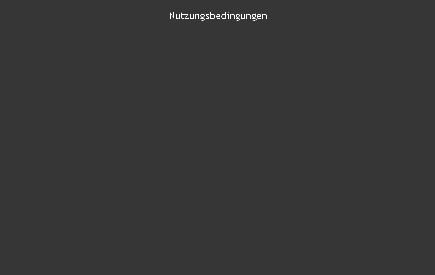 Nutzungsbedingungen